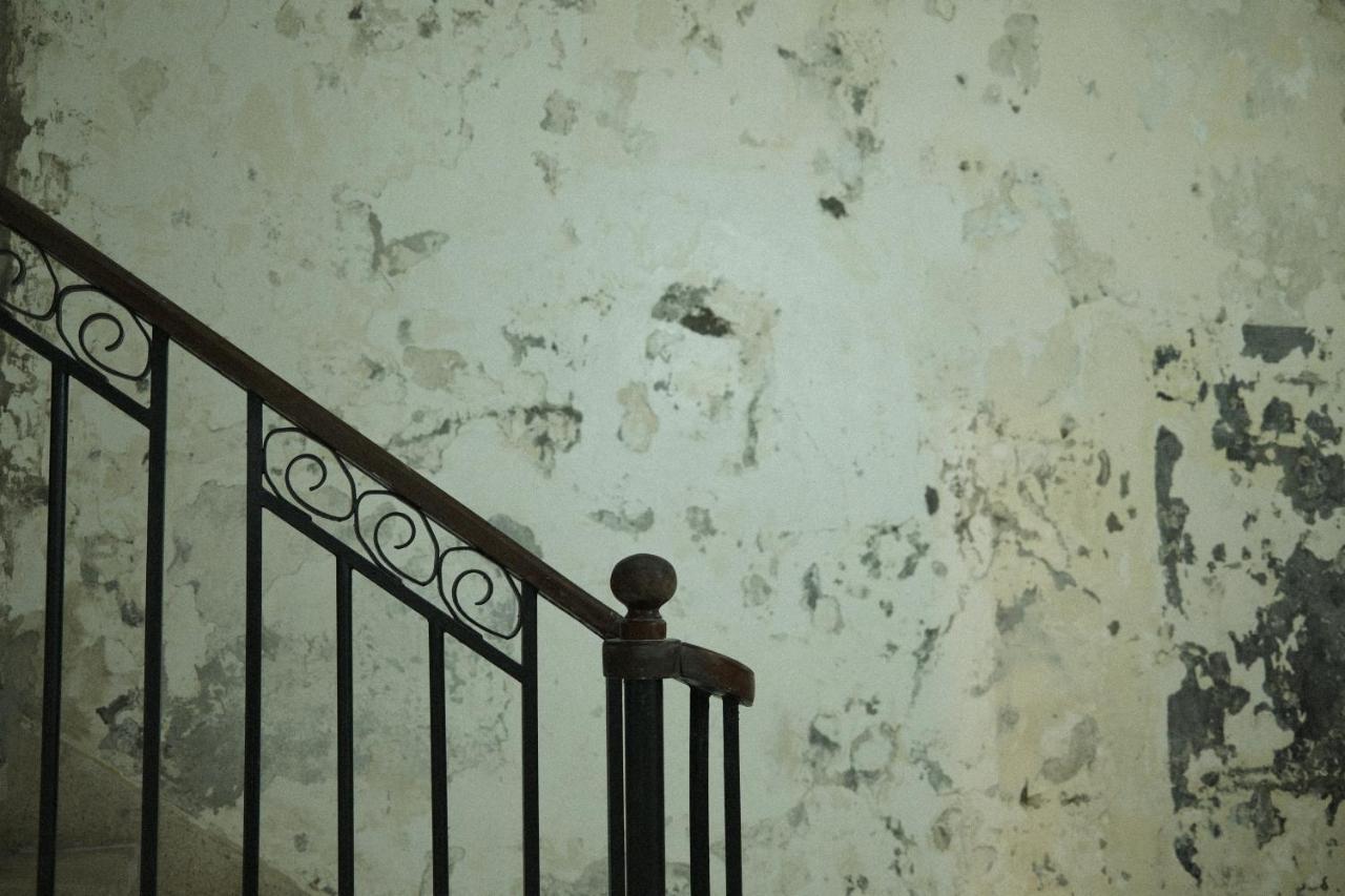 Maison Victoire, Pointe-A-Pitre Zewnętrze zdjęcie